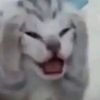 gachamregen