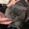 anjela_1126