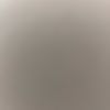seal_seal10