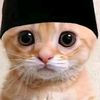 muhamaddani461