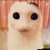 أم