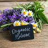 ORGANIC BLOOM