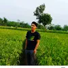navil_157