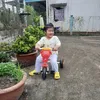 ngotoan988
