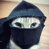 haidr_xyz