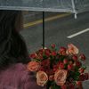 fans_asala