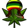 rrq.safter