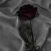 vitoramorim1
