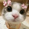 ashaaa155