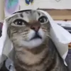 xqzvri