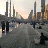 zohir19868765