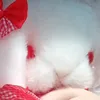 _thechu_19