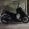 anther.2t