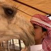 سعد | Alqahtani 🤍.