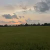 cloudylose