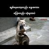 kyaw.gying7