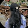 sahudasunu