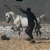 hatemhsine7