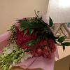 nawal_alsh
