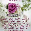 lamisa816