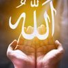 user8420168628084