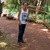 rogerreen