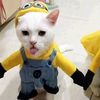 .kailyx_