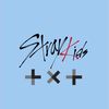 txt.skzz
