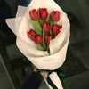 luz_3838