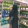 maysafidin