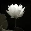 lethixuanhao