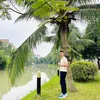 Pháp Lục Tứ