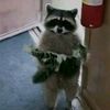 barrr_breettd