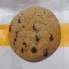 davester_9