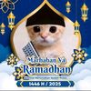 pesan_tiktok4617