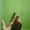 user2970225155357