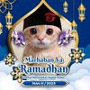 saya_tak_punya_namaa