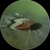 fruczathiss