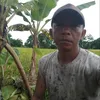 langgengsutejo