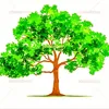 pinesun31415