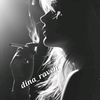dina_raven3