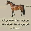 user3581834354942