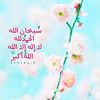 أبو الشوش