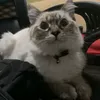 takisbiggesteater