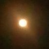 inuel_74