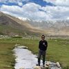 harman.al_pine