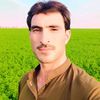 dindarullah