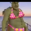 Meem_hub_1