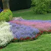amalahmadi937513