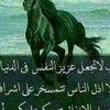 lkolk7493941466793